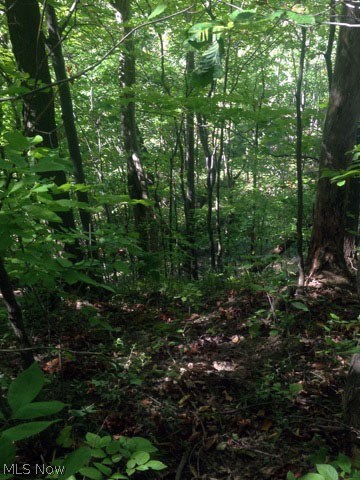 2914-3028 River Road Perry, OH 44081 - Photo 10 of 12
