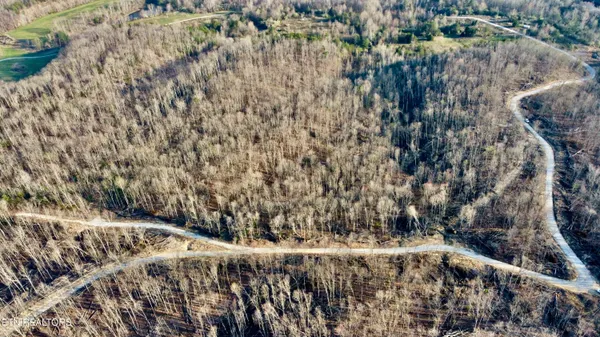 $78,775 | Lot#12 Mill Creek Road, Sunbright, TN 37872
