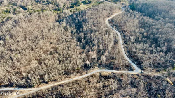 $78,775 | Lot#12 Mill Creek Road, Sunbright, TN 37872