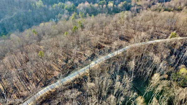 $78,775 | Lot#12 Mill Creek Road, Sunbright, TN 37872