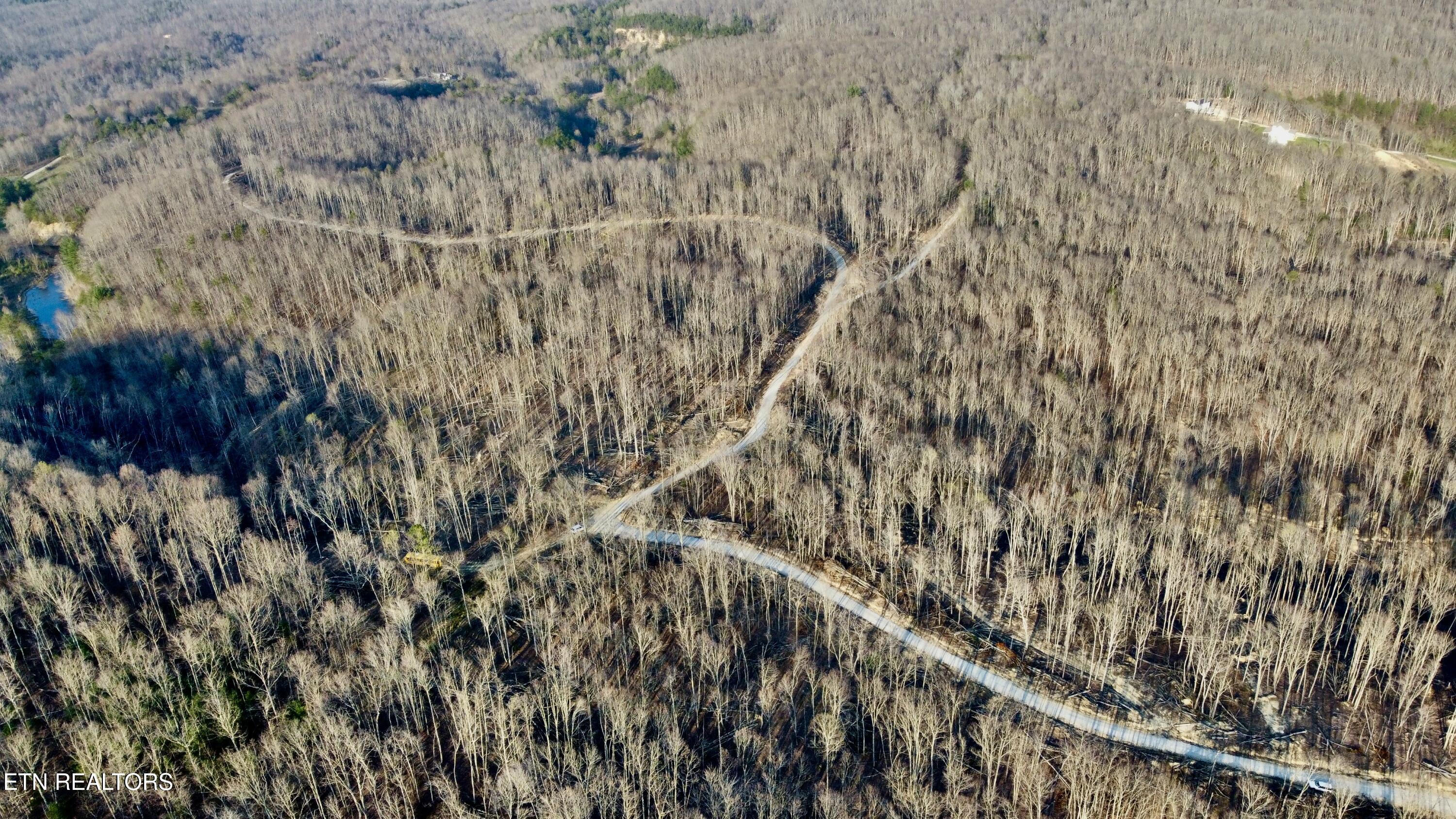 Lot#12 Mill Creek Road Sunbright, TN 37872 - Photo 10 of 12 Photo Mar 26 2026, 6 39 35 PM