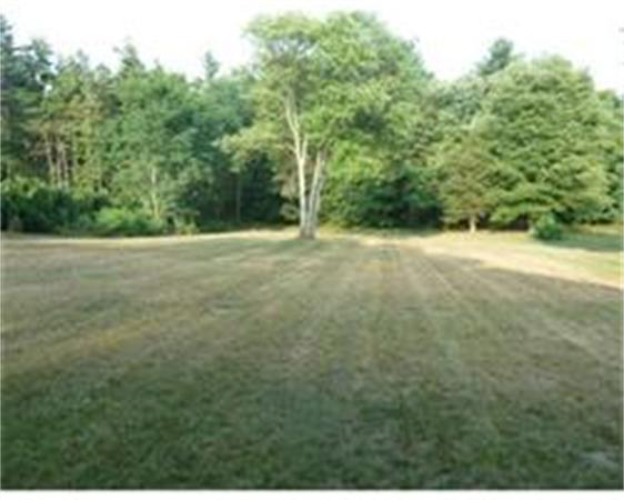 119 North Street Three Rivers, MA 01080 - Photo 3 of 6 a view of a yard with a trees