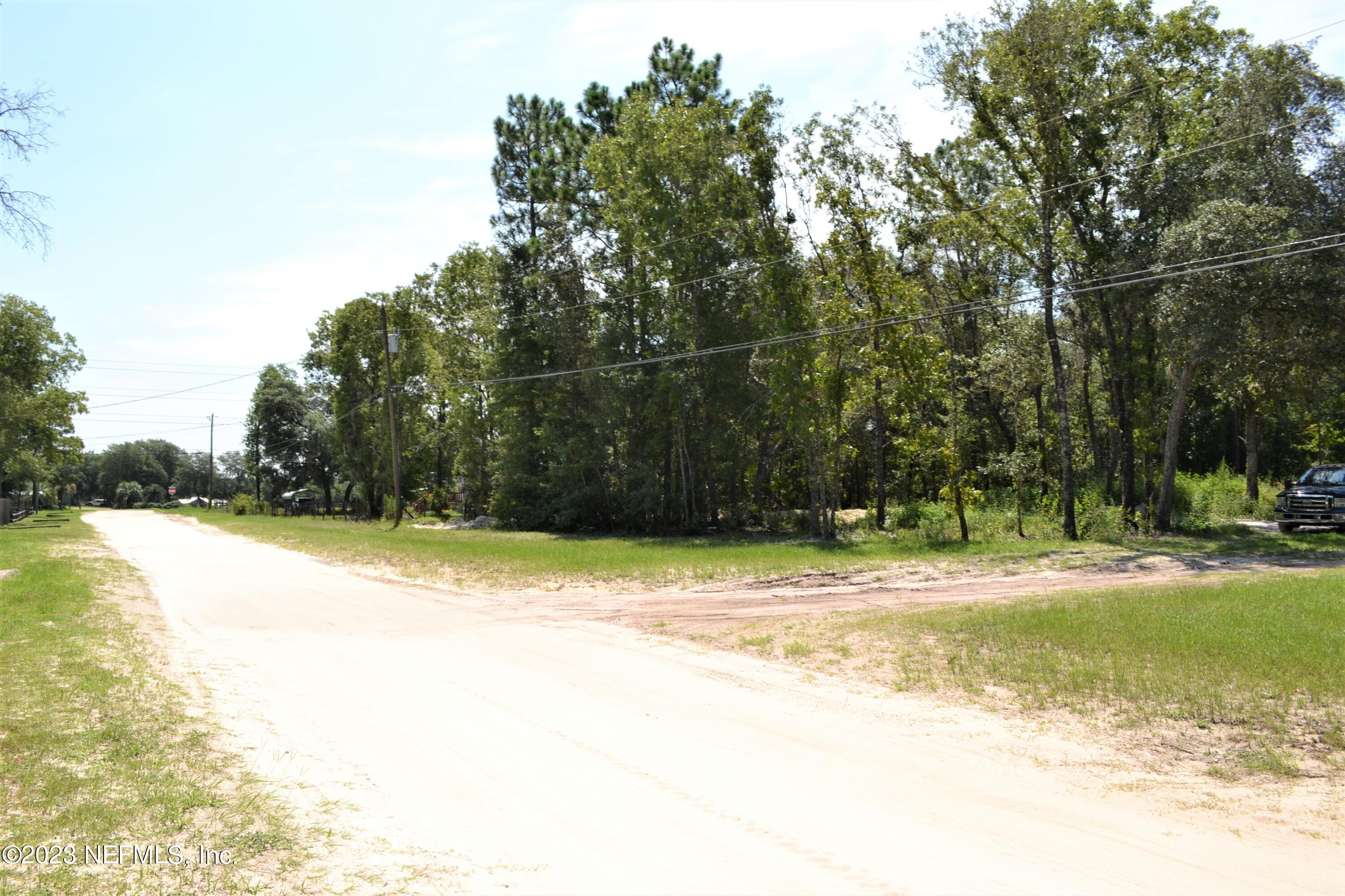 4520 Racoon Run Middleburg, FL 32068 - Photo 12 of 26 a view of a swimming pool with a yard