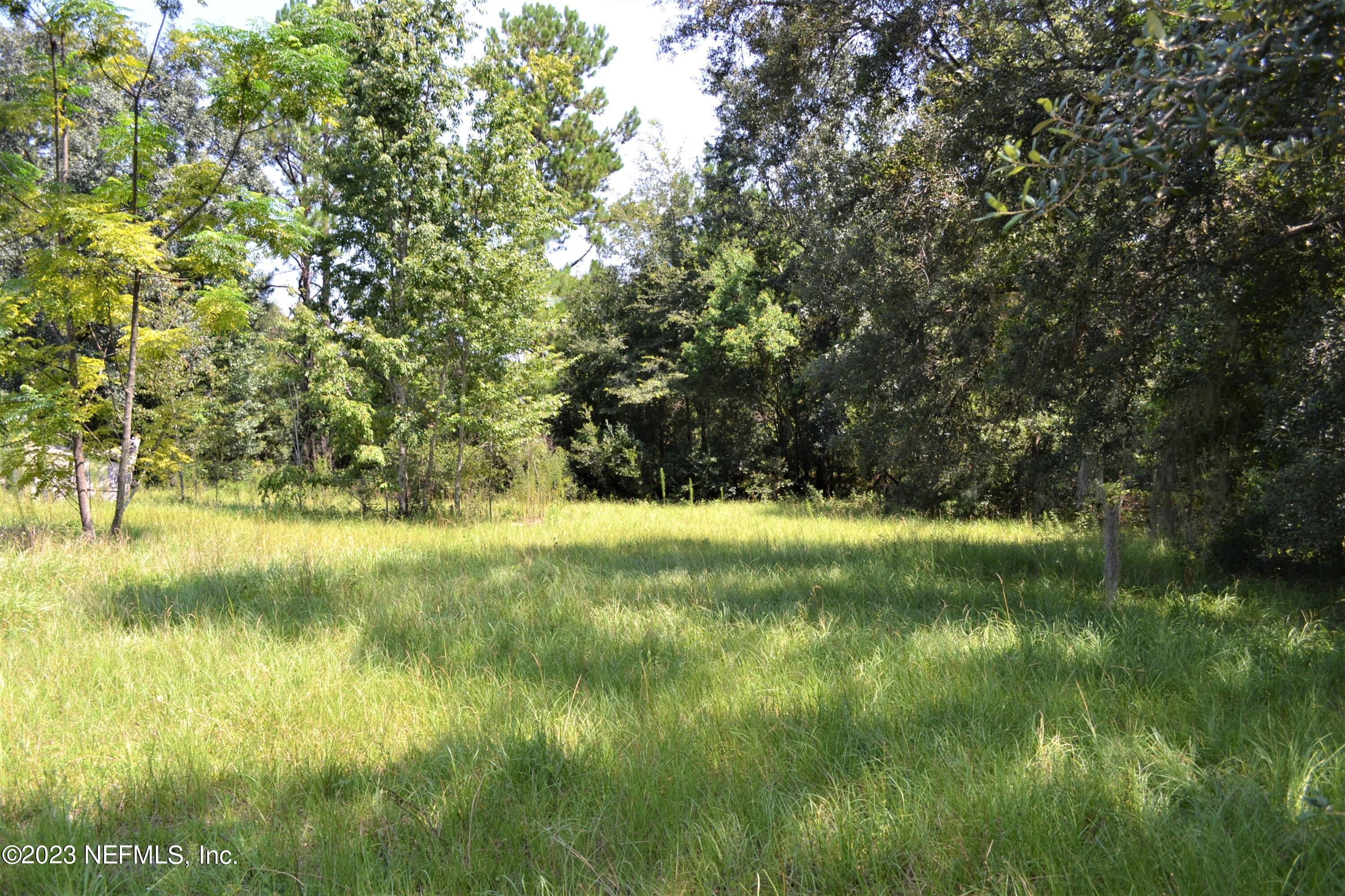 4520 Racoon Run Middleburg, FL 32068 - Photo 18 of 26 a view of yard
