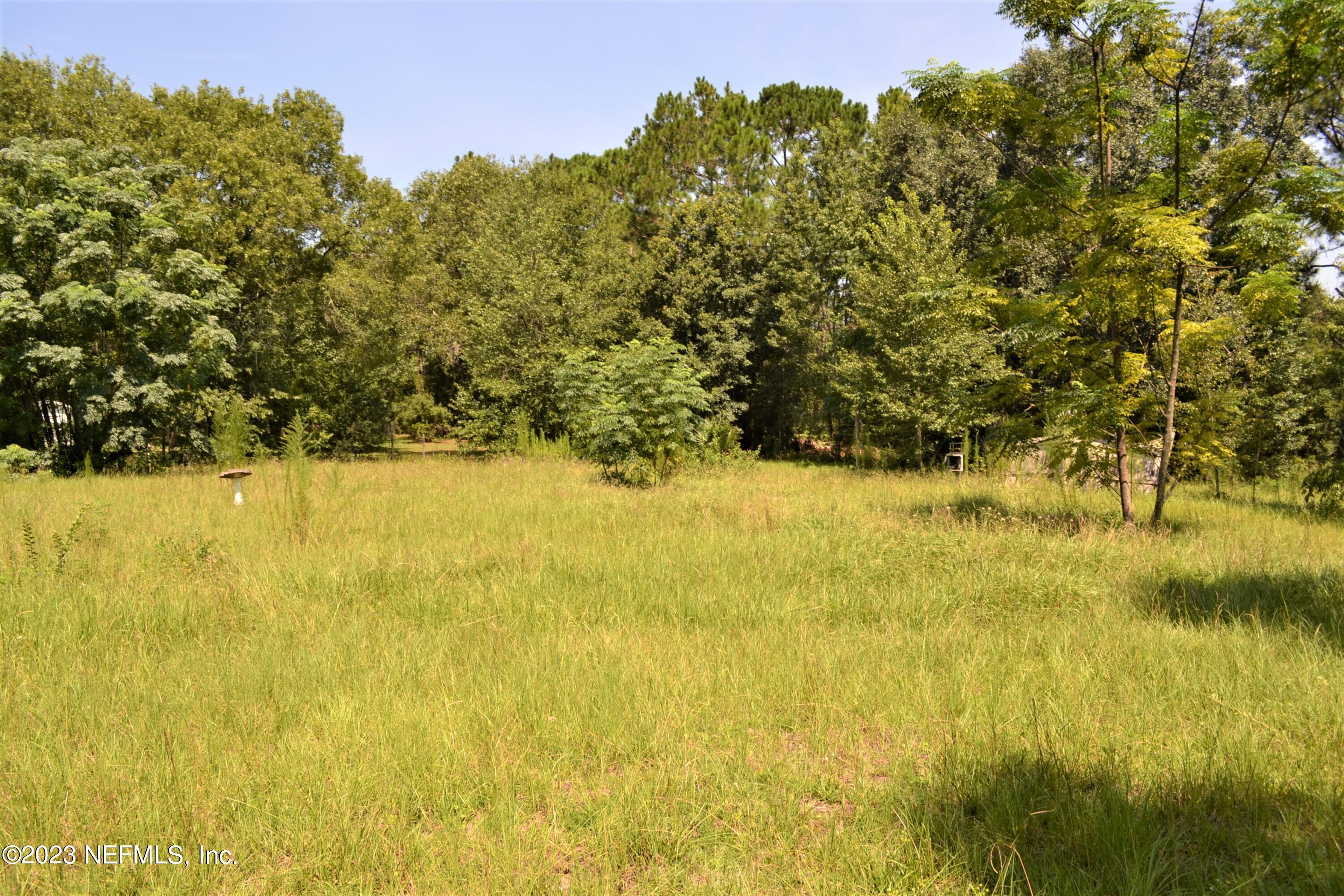 4520 Racoon Run Middleburg, FL 32068 - Photo 19 of 26 a view of yard with swimming pool