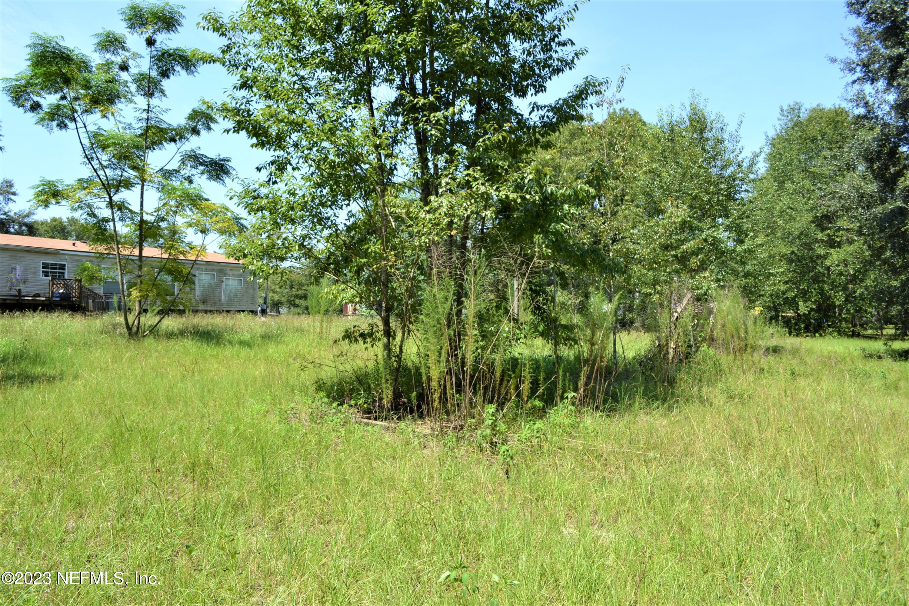 4520 Racoon Run Middleburg, FL 32068 - Photo 20 of 26 a view of a lush green space