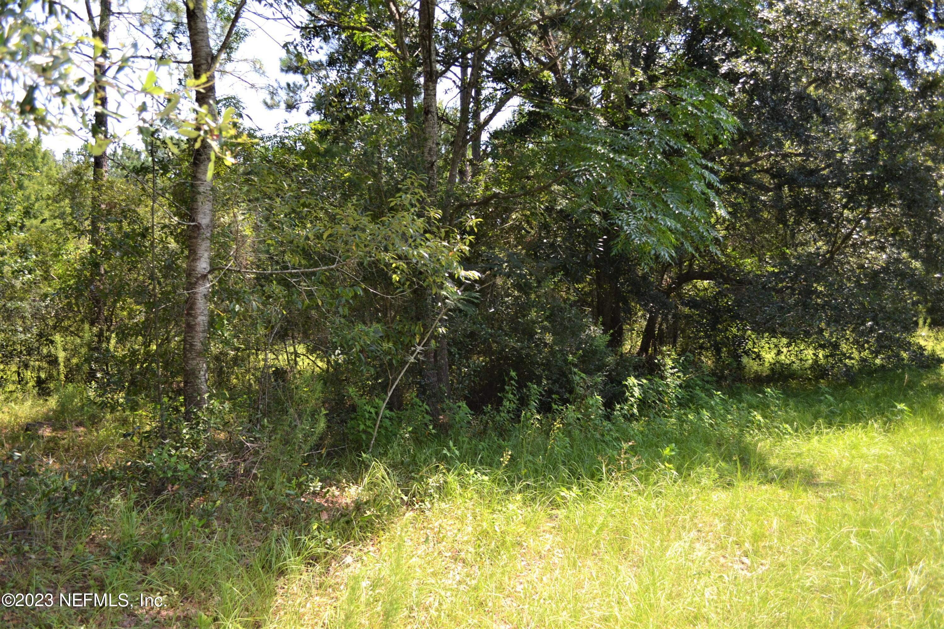 4520 Racoon Run Middleburg, FL 32068 - Photo 21 of 26 a view of a lake view