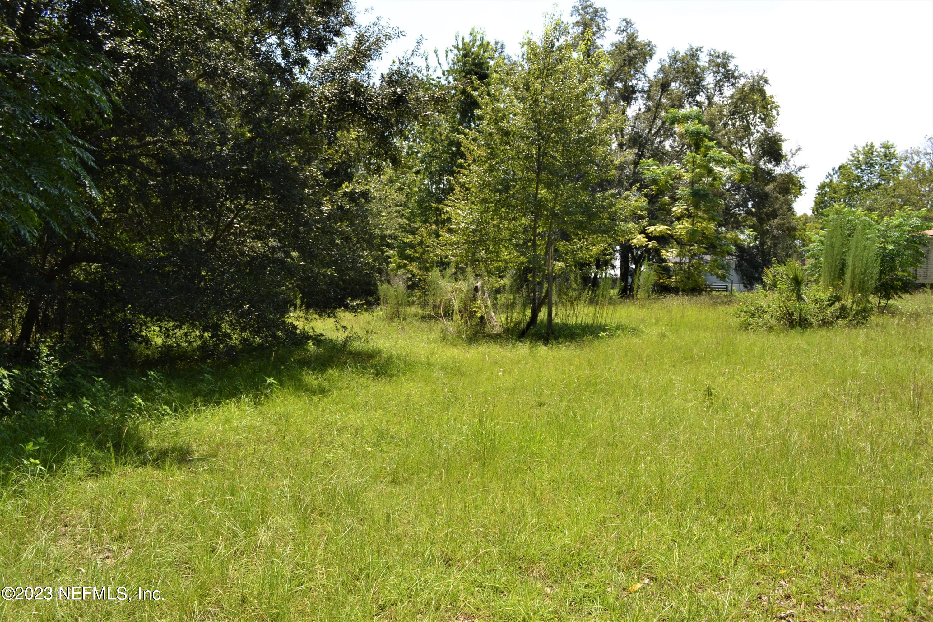 4520 Racoon Run Middleburg, FL 32068 - Photo 22 of 26 a view of yard with green space