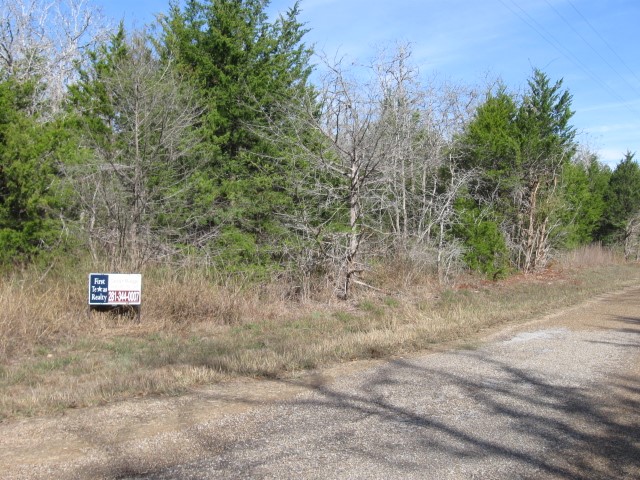 100 Rainbow Circle Somerville, TX 77879 - Photo 3 of 6 a view of a dry yard with wooden fence