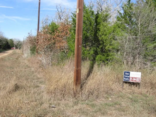 a view of a trees in a yard