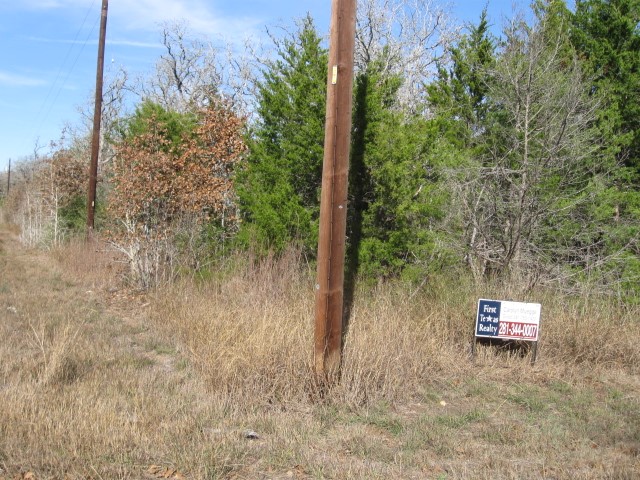 100 Rainbow Circle Somerville, TX 77879 - Photo 6 of 6 a view of a trees with an outdoor space