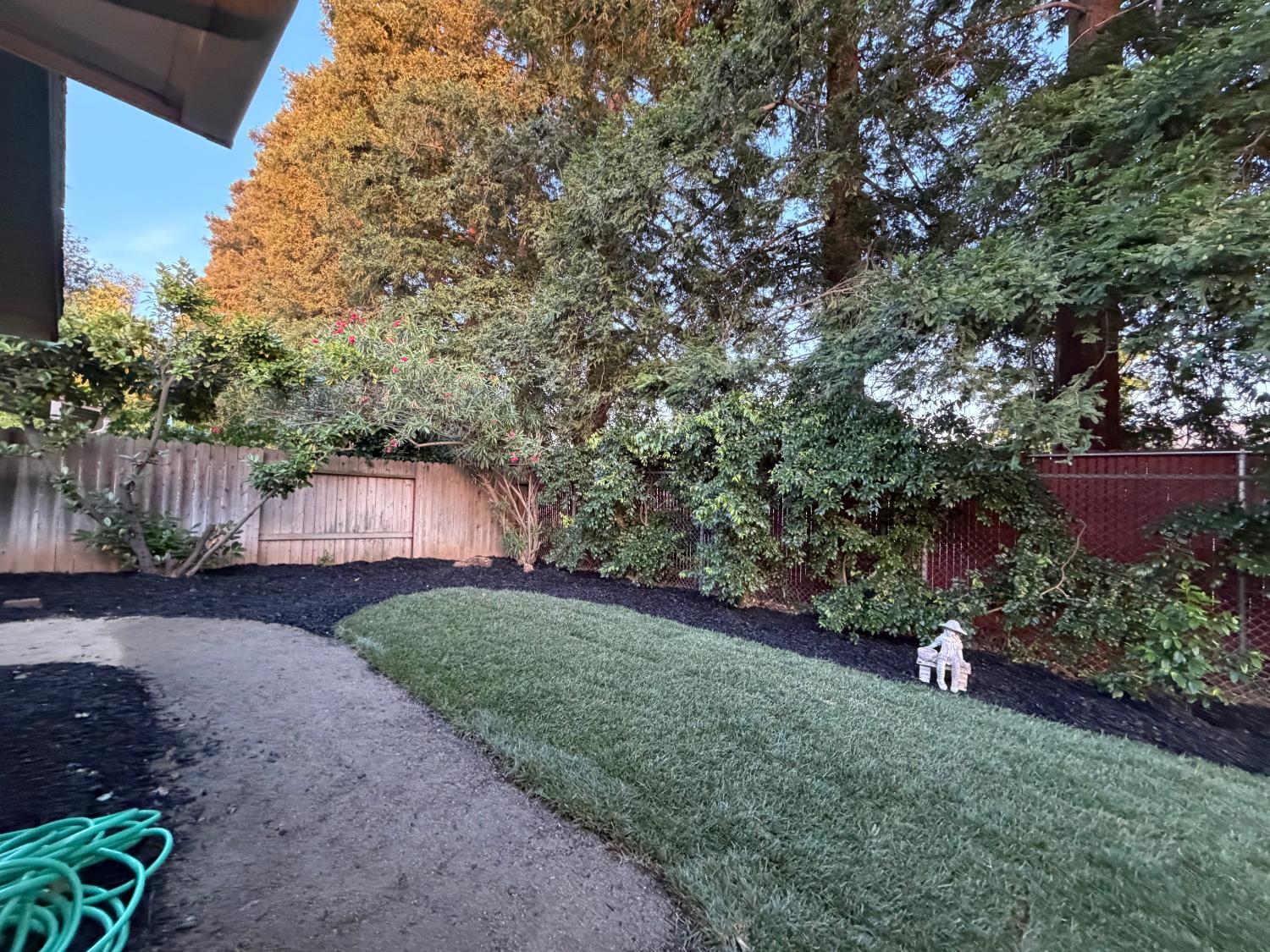 5706 Jeff Way Carmichael, CA 95608 - Photo 19 of 48 Fresh new landscaping and wrap around D.G. Walkway.