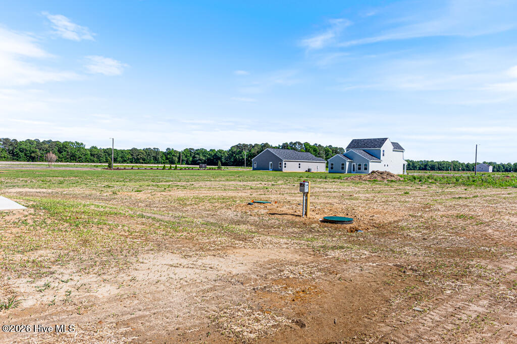 2201 Nahunta Road Pikeville, NC 27863 - Photo 30 of 35 Lot 4 - 2201 Nahunta Rd-LR-JFP-36