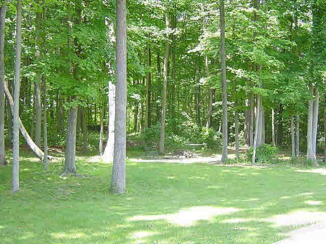 12228 Hardisty Road Fort Wayne, IN 46845 - Photo 10 of 24 Gallery Image 10