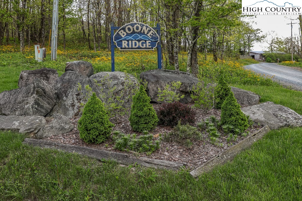 719 Boone Ridge Lane Boone, NC 28607 - Photo 6 of 40
