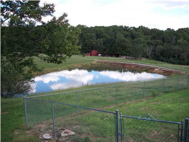 931 Rabbit Ranch Lane Decatur, TN 37322 - Photo 12 of 24 Additional Photo