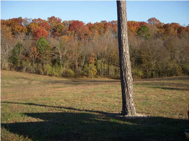 931 Rabbit Ranch Lane Decatur, TN 37322 - Photo 21 of 24 Additional Photo