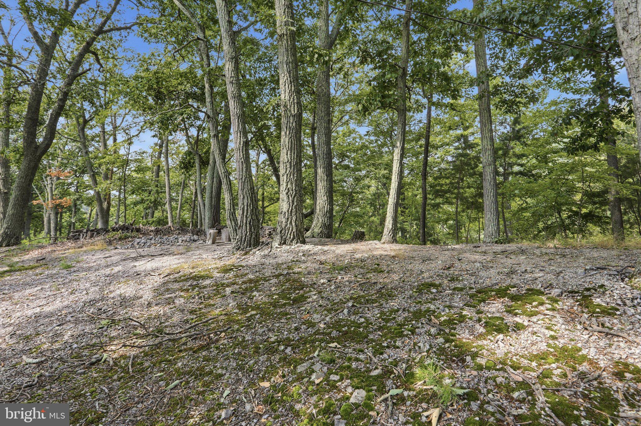 564 Highland Spg Road Old Fields, WV 26845 - Photo 5 of 21 Gallery Image 5