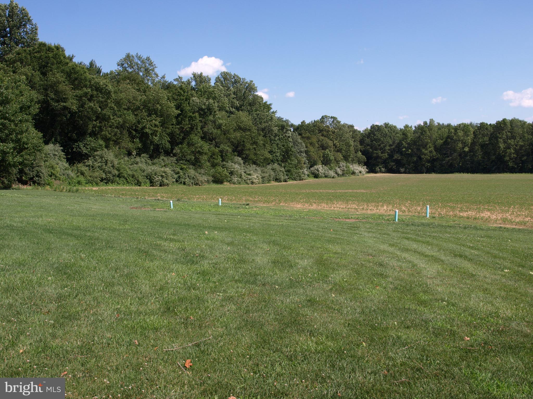 160 Stathems Neck Road Greenwich, NJ 08323 - Photo 33 of 34 New Septic