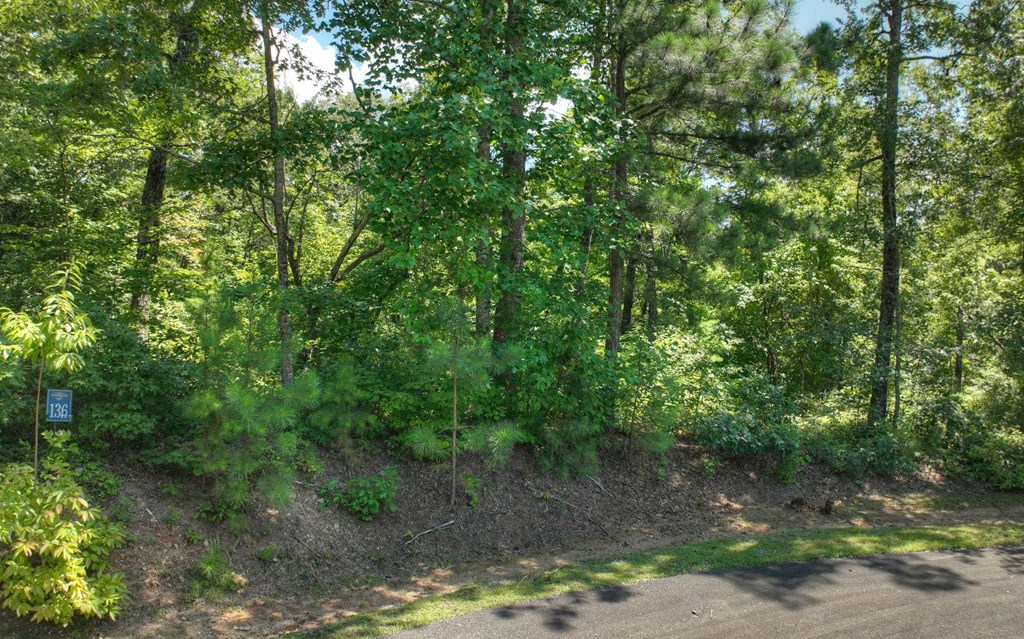 136 Whispering Ridge Court Ellijay, GA 30540 - Photo 4 of 33 Gallery Image 4