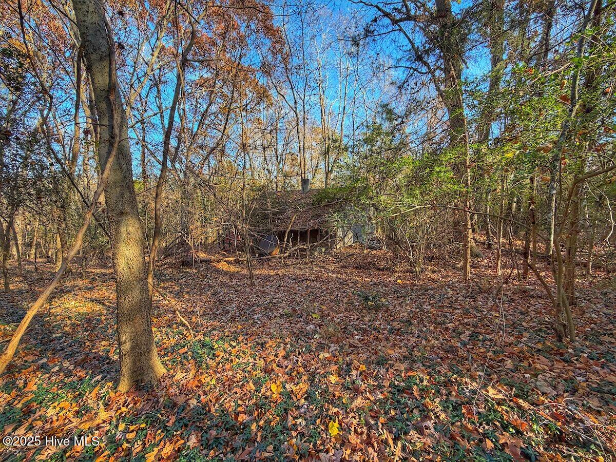 0 Mabry Mill Road Henderson, NC 27537 - Photo 37 of 42 33