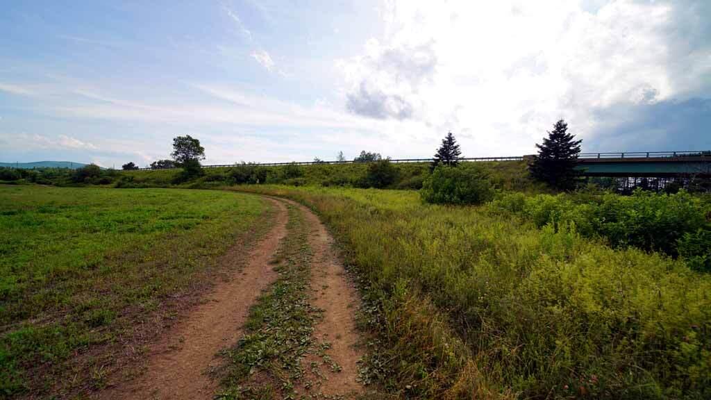 1025 Dyer Brook Road Dyer Brook, ME 04747 - Photo 23 of 39 dyer-brook-me-farm-8