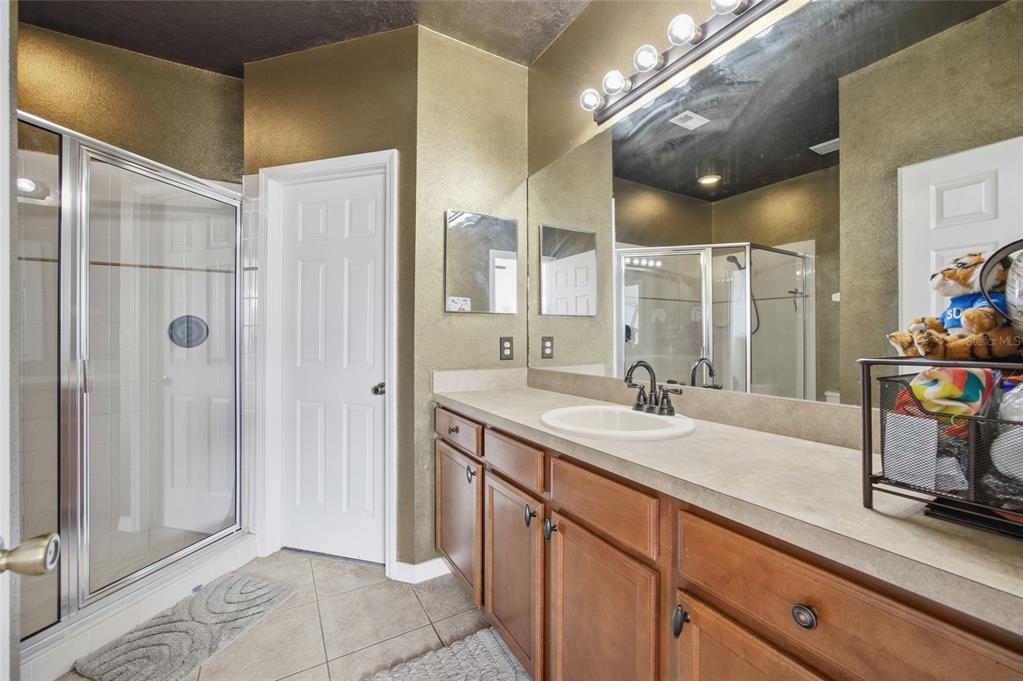 30149 Goodwick Way Wesley Chapel, FL 33543 - Photo 16 of 36