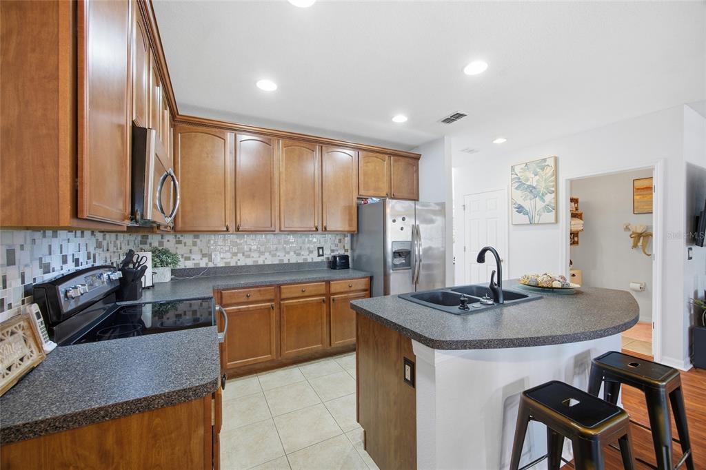 30149 Goodwick Way Wesley Chapel, FL 33543 - Photo 10 of 36