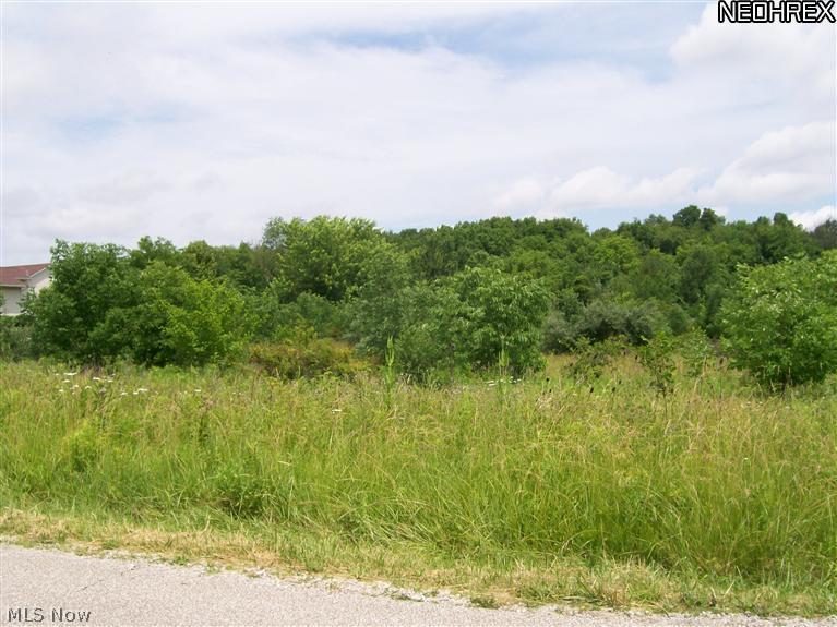 Coon Club Road Medina, OH 44256 - Photo 3 of 6 Gallery Image 3