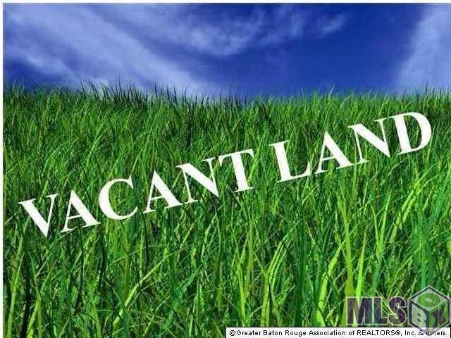 $113,500 | 18228 A Bill Morgan Road, Prairieville, LA 70769