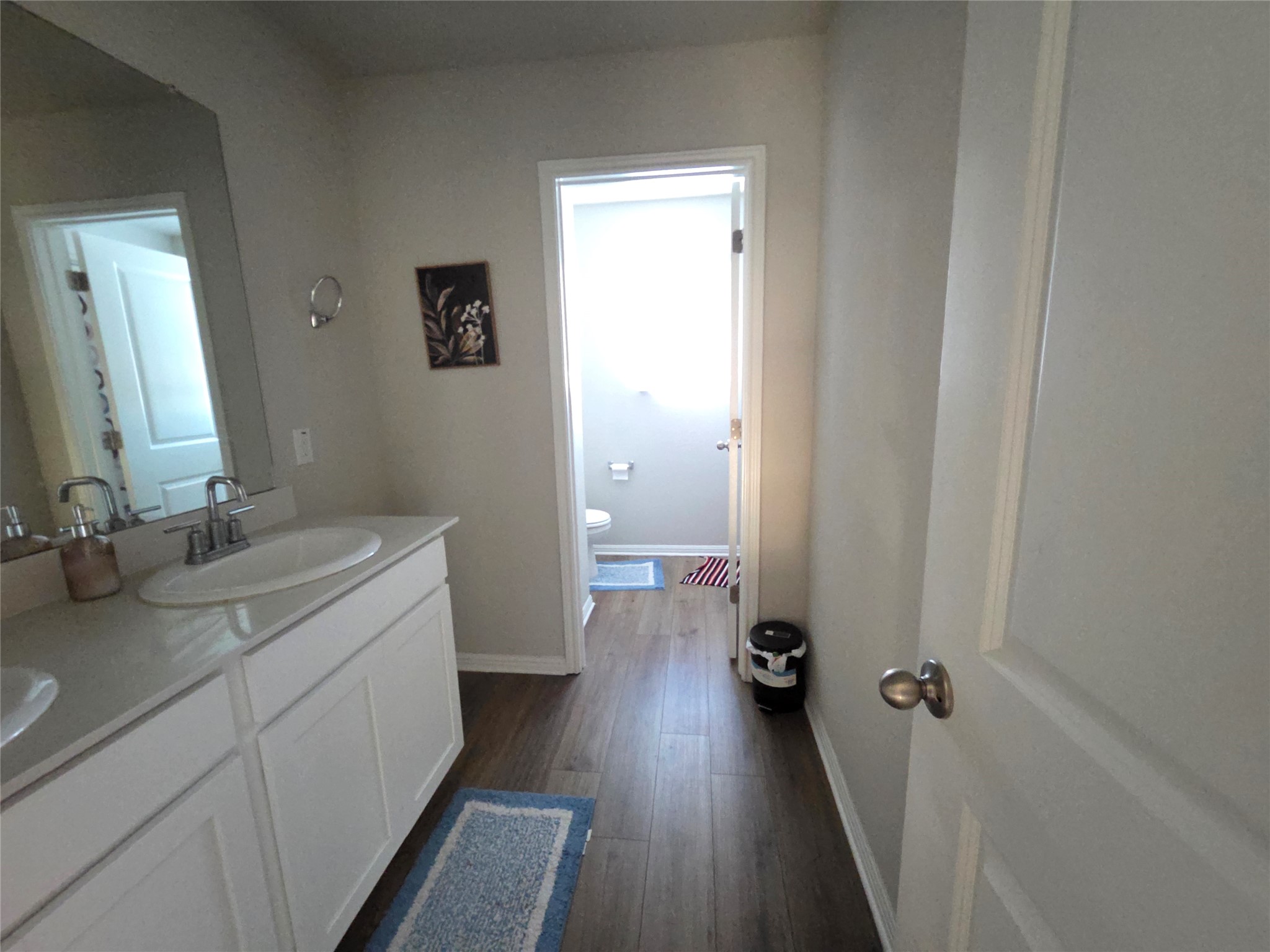 300 Windy Reed Road Hutto, TX 78634 - Photo 14 of 24 a bathroom with a sink and mirror with wooden floor