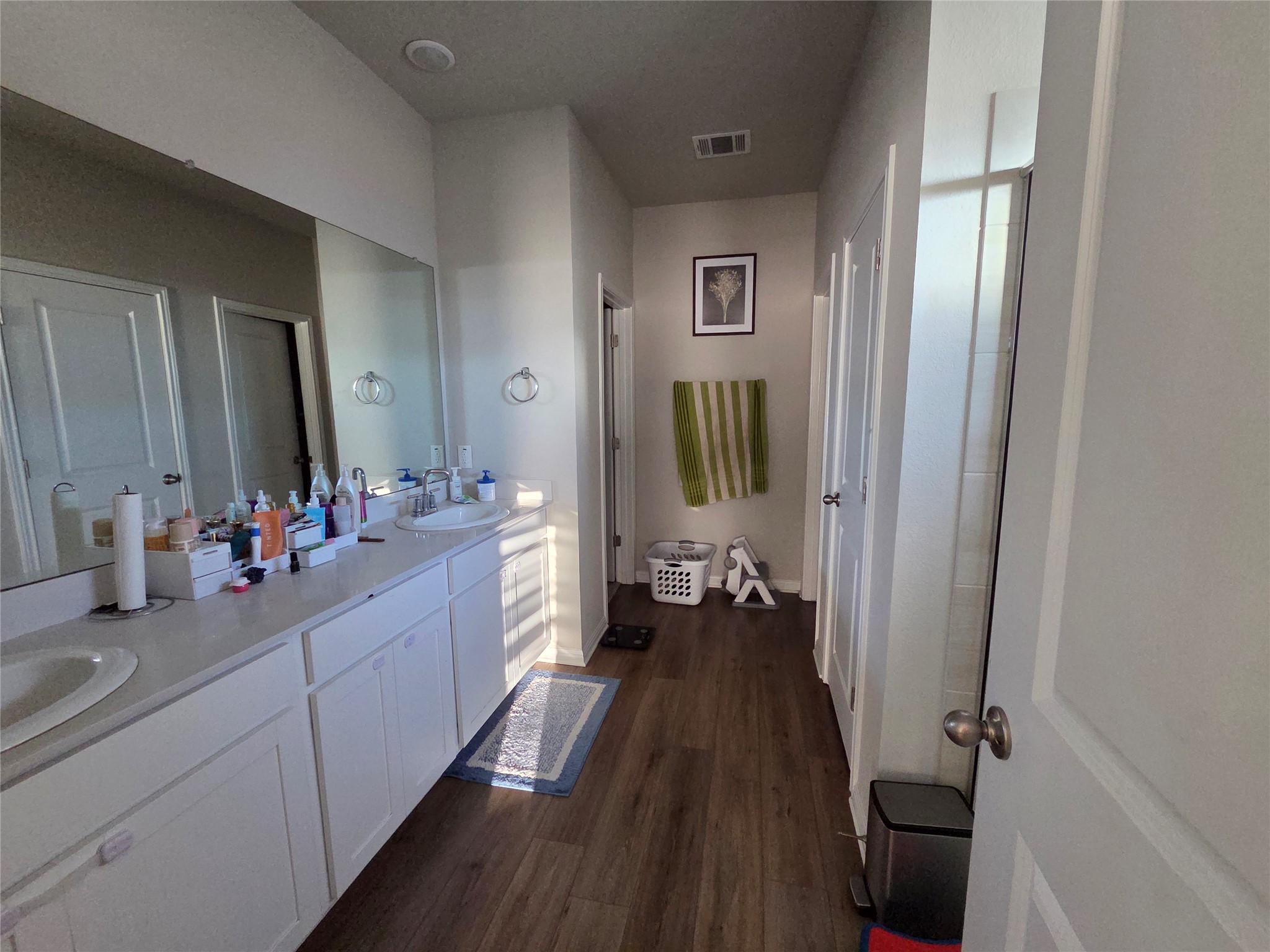 300 Windy Reed Road Hutto, TX 78634 - Photo 21 of 24 a spacious bathroom with a double vanity sink and a mirror