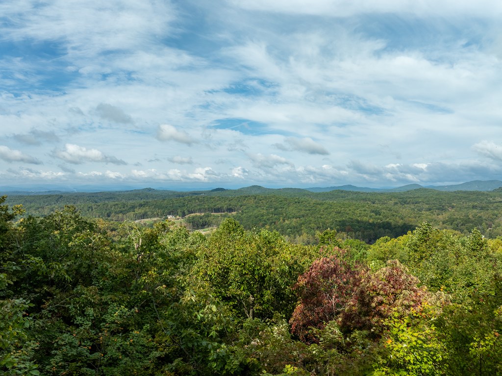 175 Oak Ledge Road Morganton, GA 30560 - Photo 43 of 62