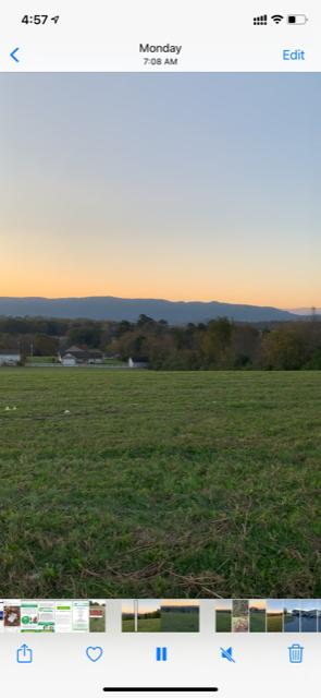 Old Niles Ferry Road Maryville, TN 37801 - Photo 3 of 8 ONF 3