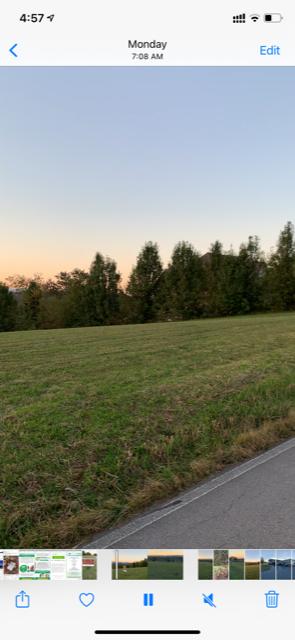 Old Niles Ferry Road Maryville, TN 37801 - Photo 4 of 8 ONF 4