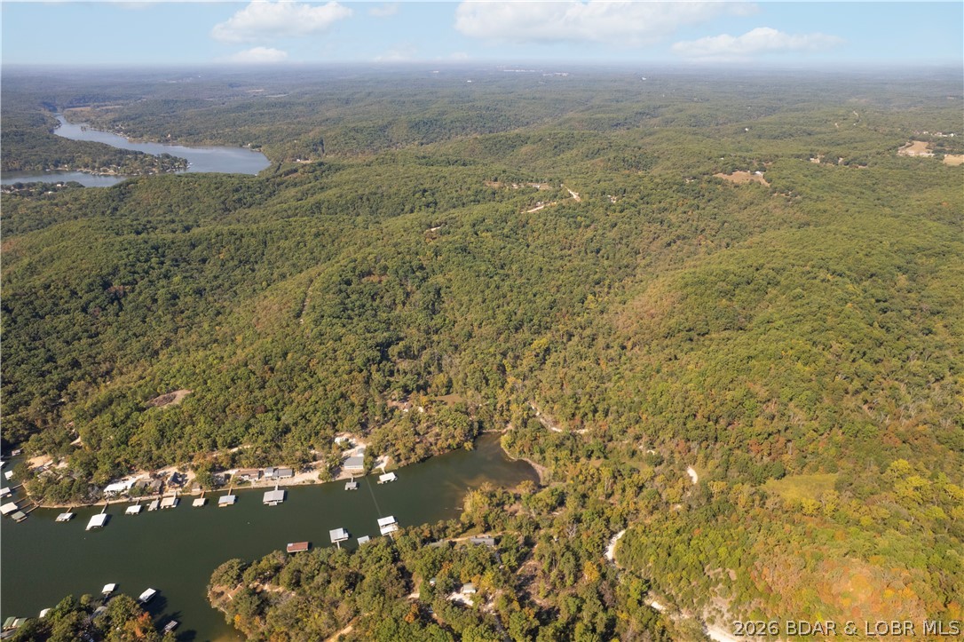 5-acres Pirates Pirates Cove Road Camdenton, MO 65020 - Photo 4 of 30