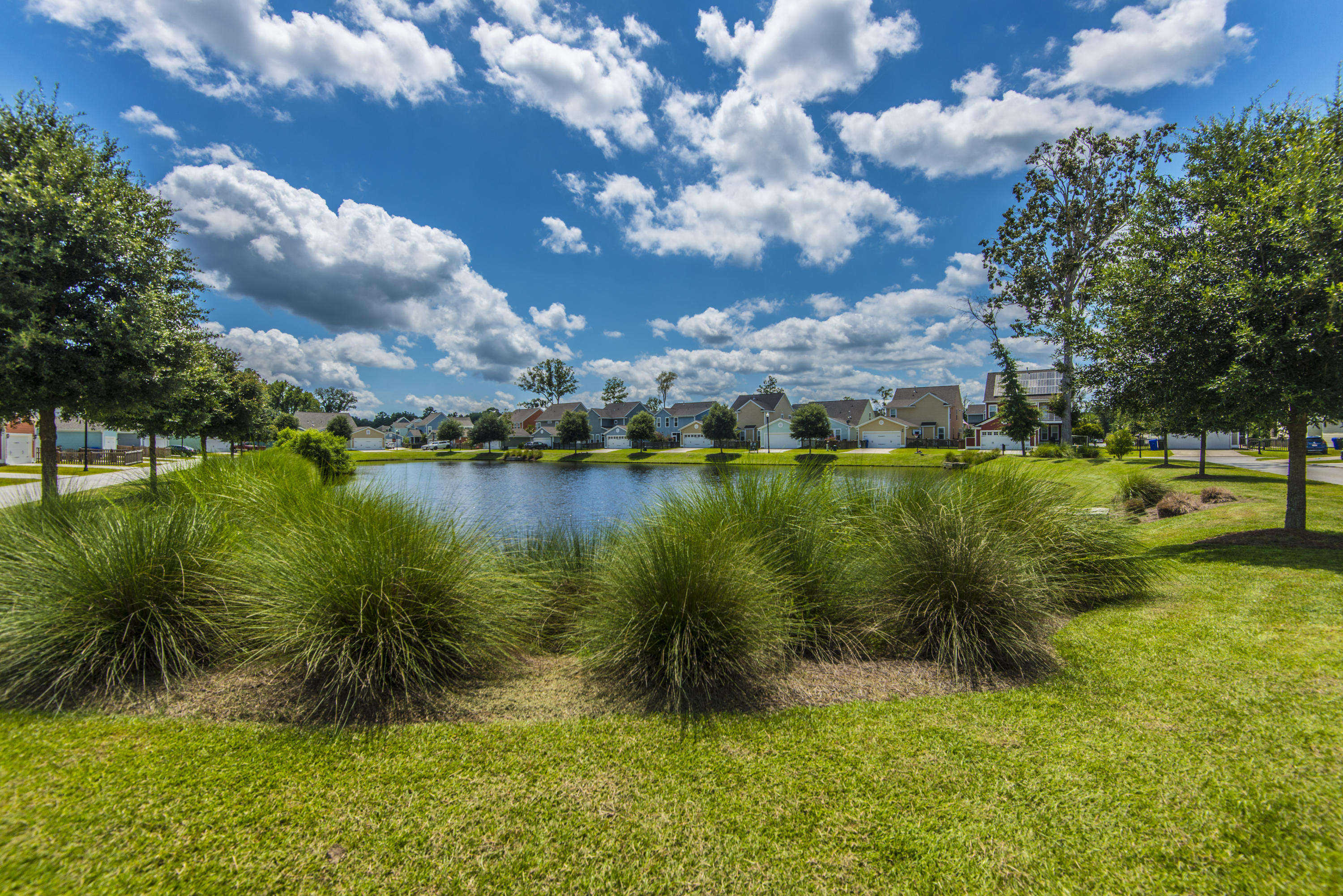 2907 Rutherford Way Charleston, SC 29414 - Photo 25 of 47 _DSC4214