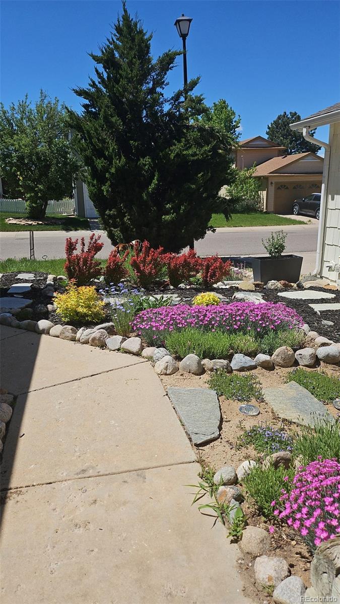 581 Longfellow Lane Highlands Ranch, CO 80126 - Photo 39 of 39 Gallery Image 39