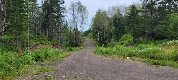 $39,000 | M23 L32, St. David, ME 04773