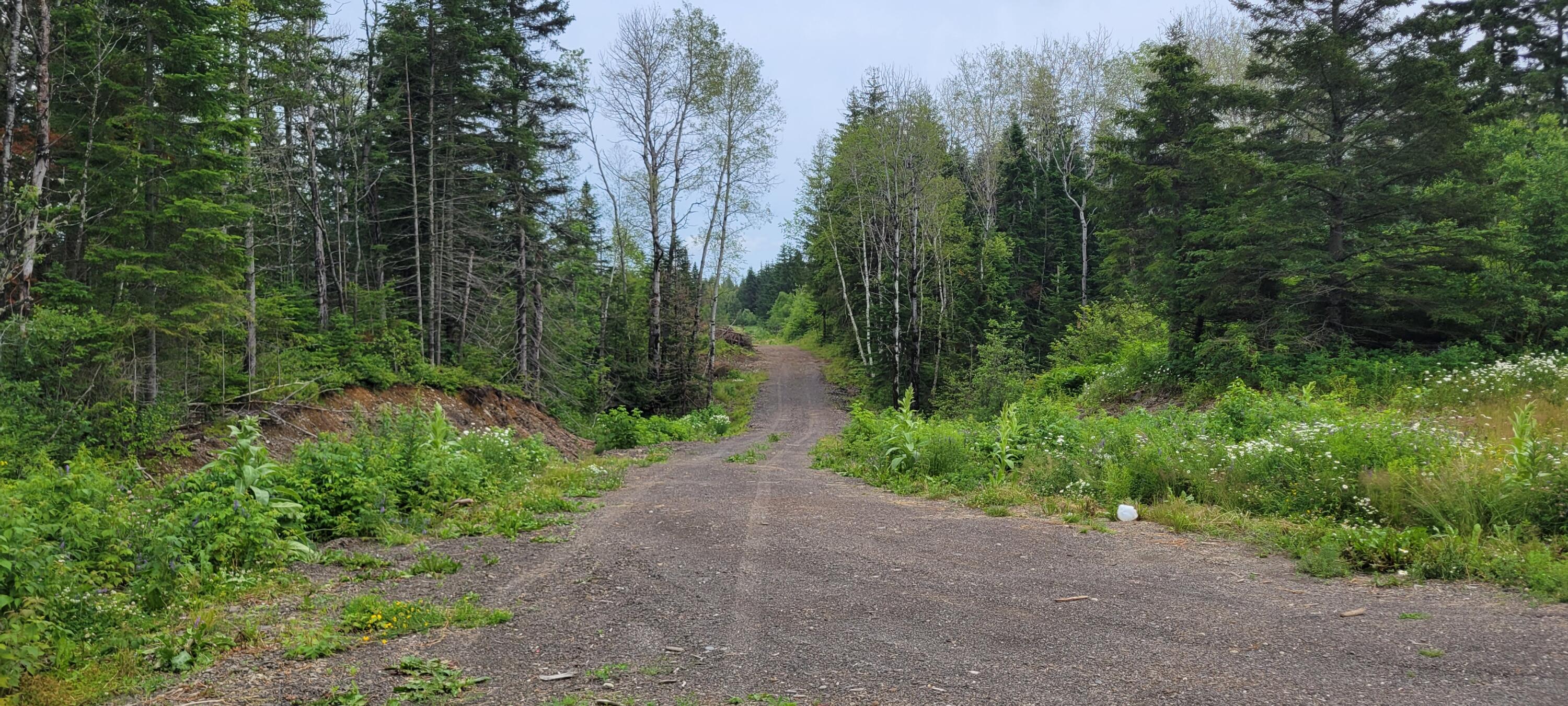 M23 L32 St. David, ME 04773 - Photo 12 of 16 20250703_153529