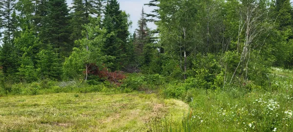 $39,000 | M23 L32, St. David, ME 04773