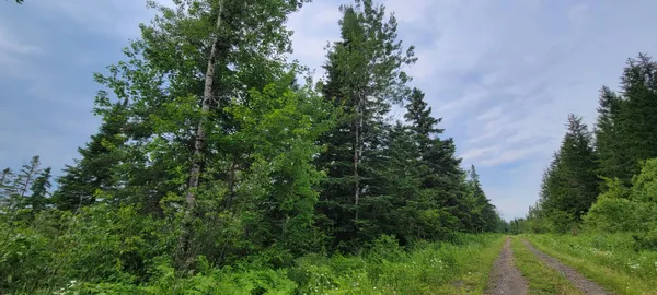 $39,000 | M23 L32, St. David, ME 04773