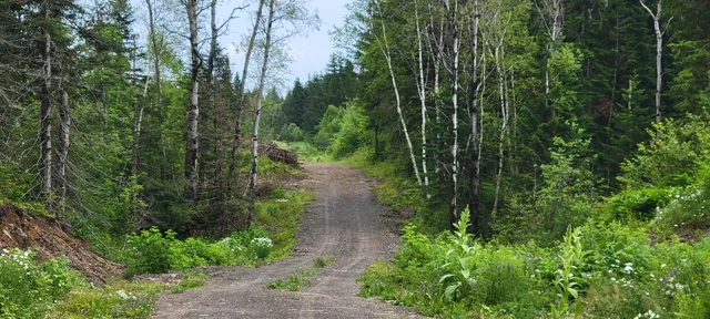 $39,000 | M23 L32, Madawaska, ME 04756