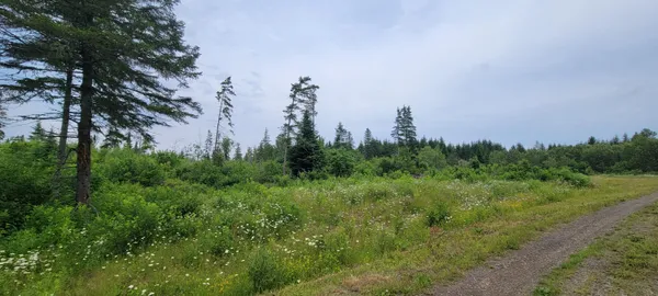 $39,000 | M23 L32, St. David, ME 04773