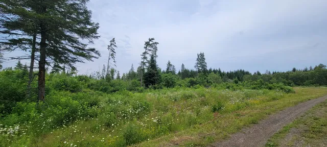 $39,000 | M23 L32, Madawaska, ME 04756