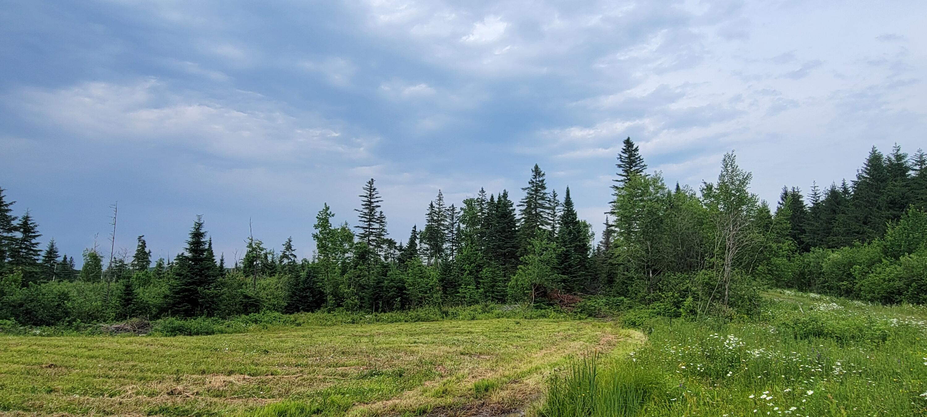 M23 L32 St. David, ME 04773 - Photo 6 of 16 20250703_153051