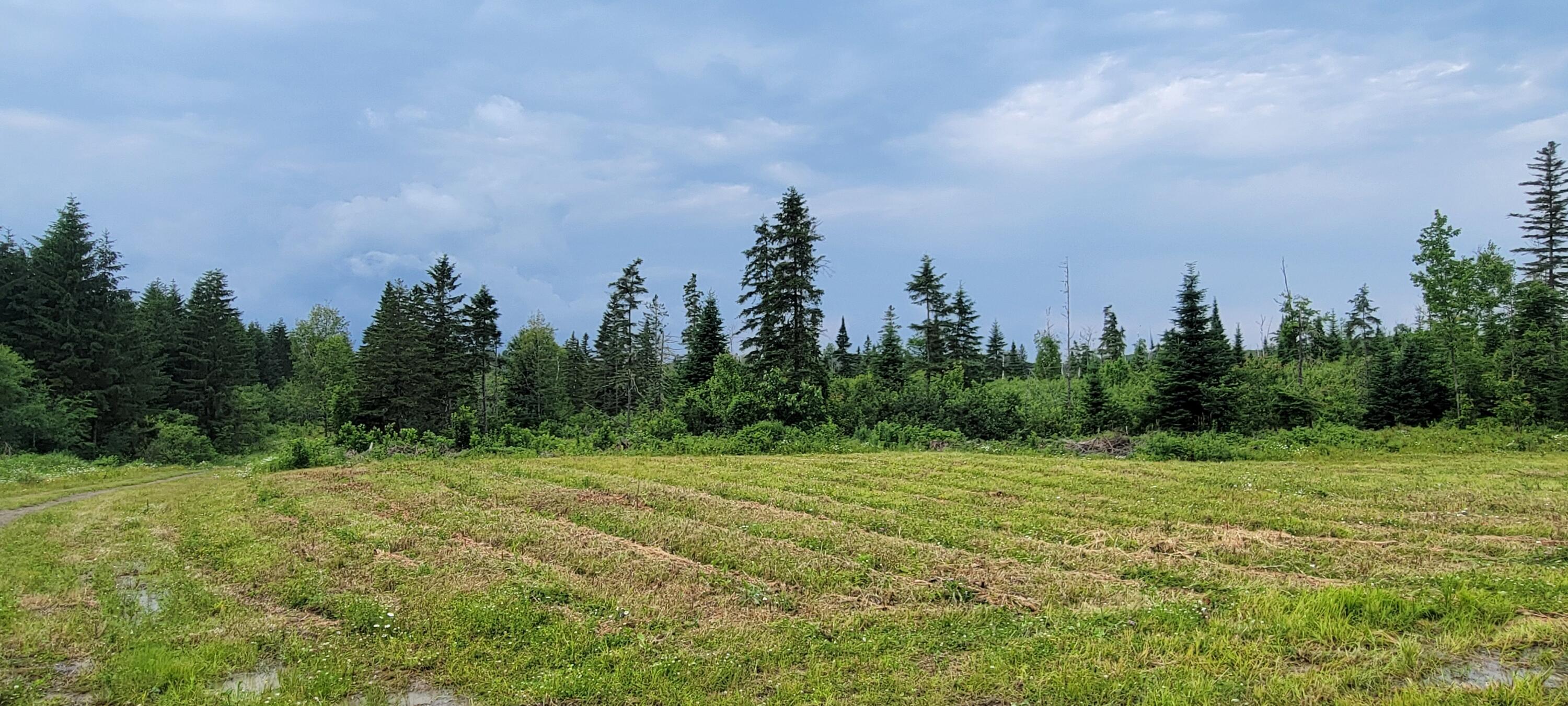 M23 L32 St. David, ME 04773 - Photo 7 of 16 20250703_153055