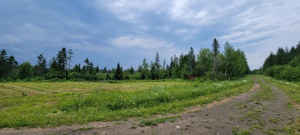 $39,000 | M23 L32, St. David, ME 04773