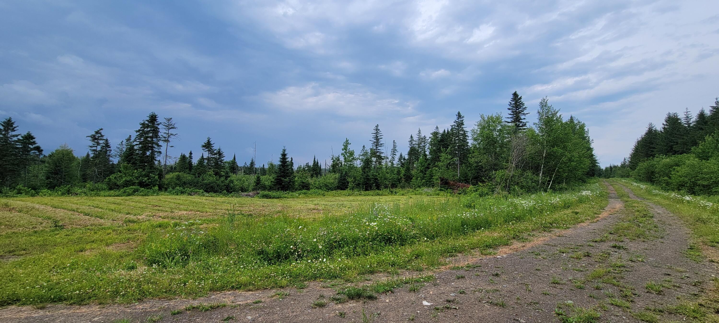 M23 L32 St. David, ME 04773 - Photo 8 of 16 20250703_153107