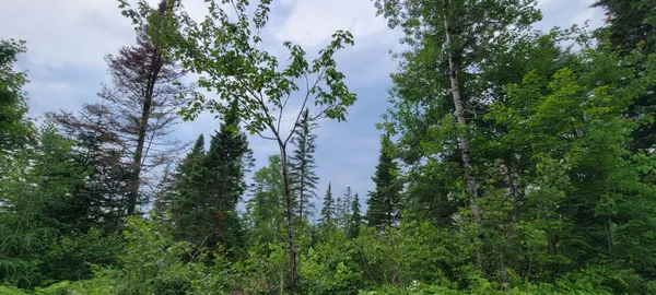 $39,000 | M23 L32, St. David, ME 04773